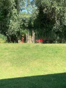 um parque com um toco de árvore no meio de um campo em Family friendly rural idyll with space for tents em Wittersham