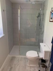 uma casa de banho com um chuveiro, um WC e um lavatório. em Family friendly rural idyll with space for tents em Wittersham