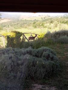 Gallery image of VULCINEA in Poggio Rocco in Manciano