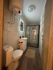 een badkamer met een toilet, een wastafel en een douche bij Apartman Centar in Kuršumlija