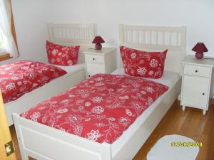 two beds with red pillows in a bedroom at Ferienhaus für 10 Personen in Vogelsgrün, Sachsen Vogtland in Bad Reiboldsgrün