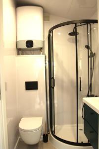 a bathroom with a shower and a toilet and a sink at Chalet Lodge in Drijber