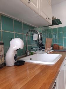 a kitchen with a sink and a mixer on a counter at The Rocks in Roque