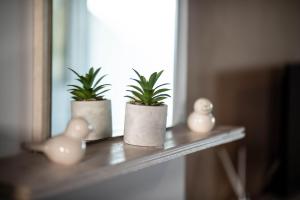 Fotografie z fotogalerie ubytování Haraki Elegant View v destinaci Haraki