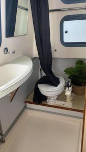 a bathroom with a toilet and a sink at BATEAU - CANAL DU NIVERNAIS NIEVRE in Bazolles