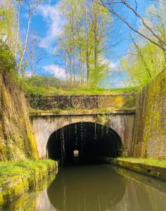 a tunnel in the middle of a river at BATEAU - CANAL DU NIVERNAIS NIEVRE in Bazolles