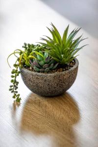 a plant in a stone bowl on a table at Lovely 4 bedrooms house to Ed station in Ingleburn