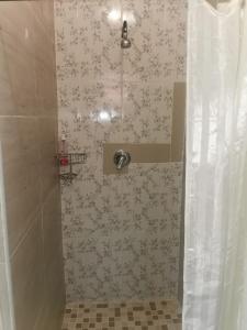 ein Bad mit Dusche und Duschvorhang in der Unterkunft P & T Guesthouses in Pietermaritzburg