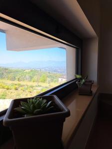 ein Fenster mit einer Topfpflanze in einem Fensterbrett in der Unterkunft Villa Corina in Vaccarizzo Albanese