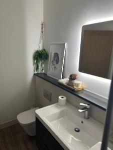 a bathroom with a sink and a toilet and a mirror at Carbis Daze Ocean Views Studio, SuperKing bed St Ives Carbis Bay in Carbis Bay