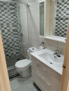 a bathroom with a toilet and a sink and a shower at Apartamento El Hammam in Empuriabrava