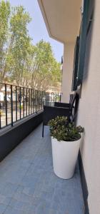 Balkón nebo terasa v ubytování Machico Heart Suites