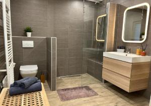 a bathroom with a shower and a toilet and a sink at Charmant Cottage de village in Wittisheim +39 photos