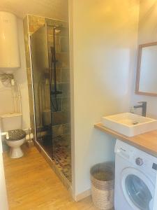 a bathroom with a shower and a washing machine at Appartement T2 La Saline Les Bains in Saint-Paul