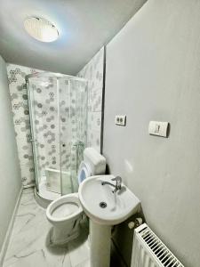 a bathroom with a toilet and a shower and a sink at Serbian House in Timişoara +78 photos
