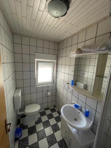 ein kleines Badezimmer mit Waschbecken und Toilette in der Unterkunft Apartments Desire in Zaboric + 56 Fotos