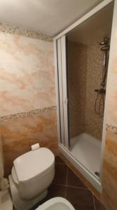 a small bathroom with a toilet and a shower at Casa delle Rose in Fiumaretta di Ameglia