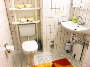 ein kleines Badezimmer mit Toilette und Waschbecken in der Unterkunft 3-Sterne Komfortferienwohnung  Köhnke 6 - [#122261] in Goslar + 16 Fotos