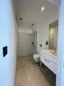 La salle de bains est pourvue de toilettes, d'un lavabo et d'une douche. dans l'établissement Lavandula Boutique Hotel, à Istanbul