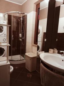 y baño con ducha, lavabo y aseo. en "Le Chat Libre" Alloggio Turistico, en Monte San Biagio