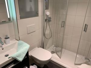 ein Badezimmer mit Dusche, Toilette und Waschbecken in der Unterkunft 4-Sterne Premiumferienwohnung  Köhnke 3 - [#122258] in Goslar