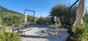 eine Gruppe von Tischen und Stühlen mit Sonnenschirmen in der Unterkunft Ferienhaus für 16 Personen in Capannori, Toskana Provinz Lucca in Valgiano
