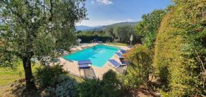 einen Blick über einen Pool mit Sonnenschirmen in der Unterkunft Ferienhaus für 16 Personen in Capannori, Toskana Provinz Lucca in Valgiano