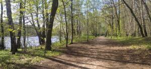 Príroda v okolí apartmánu