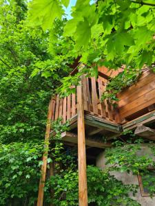 a tree house in the middle of some trees at Ecochiocciola in Montese