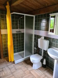 a bathroom with a shower with a toilet and a sink at Ecochiocciola in Montese