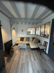 a living room with a couch and a tv at Gîte o prés de la Loire classé 3 étoiles in Ousson-sur-Loire