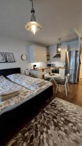 1 dormitorio con 1 cama grande y cocina en Scandinavian Home, en Rovaniemi