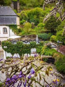 Giardino di Hotel Heintz