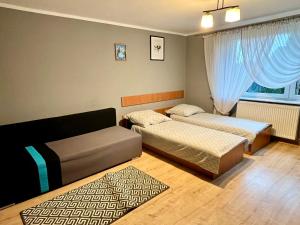 1 dormitorio con 2 camas, sofá y alfombra en Agrodębina, en Nowa Słupia