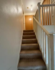 a staircase in a home with brown carpet at Comfort Arena in Colchester