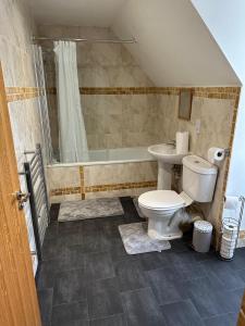 a bathroom with a toilet and a bath tub at Comfort Arena in Colchester