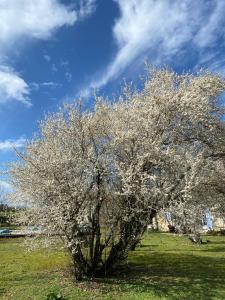 Le Moulin du Clapier La Banette外面的花园