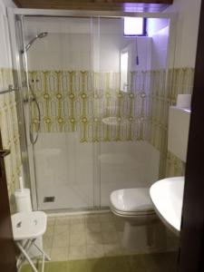 La salle de bains est pourvue d'une douche, de toilettes et d'un lavabo. dans l'établissement da Michela, à Fiera di Primiero