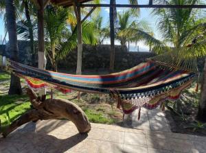 a hammock on a beach with palm trees at Casa pulpo in León