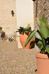 een paar potplanten naast een stenen muur bij Casa de la Abuela Dolores in Villaverde del Río