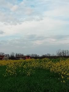Природа в окрестностях отеля типа «постель и завтрак»