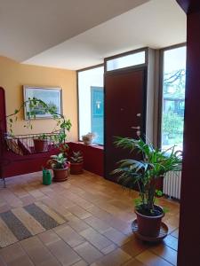 Сад в B&BLe Tre Gemme
