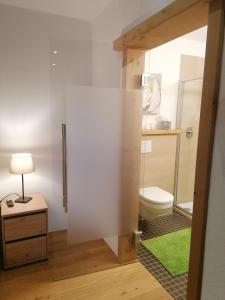 een badkamer met een toilet en een groen tapijt bij Haus Miriam in Mieming