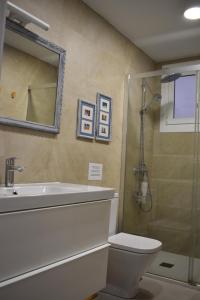 a bathroom with a shower and a toilet and a sink at Precioso piso en el centro de Almeria in Almería