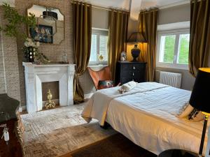 a bedroom with a bed and a fireplace at La maison au cèdre in Marsac-sur-lʼIsle