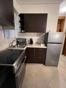 雅典的住宿－Cozy Apartment In The Heart Of Athens，厨房配有不锈钢冰箱和水槽