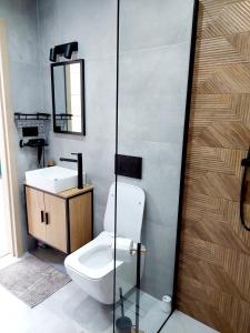 a bathroom with a toilet and a sink and a mirror at COSY CABINS - las, jezioro, góry, prywatna sauna, balia, tężnia in Kluszkowce