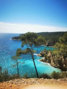 vista su una spiaggia con acqua blu e alberi di BELAZUR Entre plage et port a Bandol