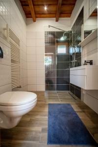 La salle de bains est pourvue de toilettes et d'une douche en verre. dans l'établissement FoxForest Vendégház, à Zalakaros