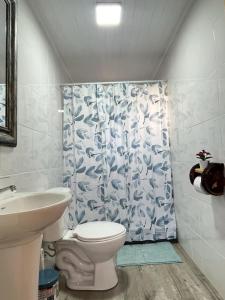 La salle de bains est pourvue de toilettes et d'un lavabo. dans l'établissement Cabañas Quina Nativa, à Quinamávida